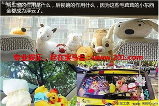 汽车后窗放多少玩偶